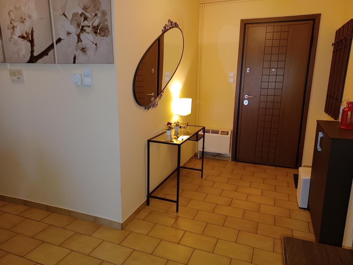 Central Apartment Ioannina Bagian luar foto