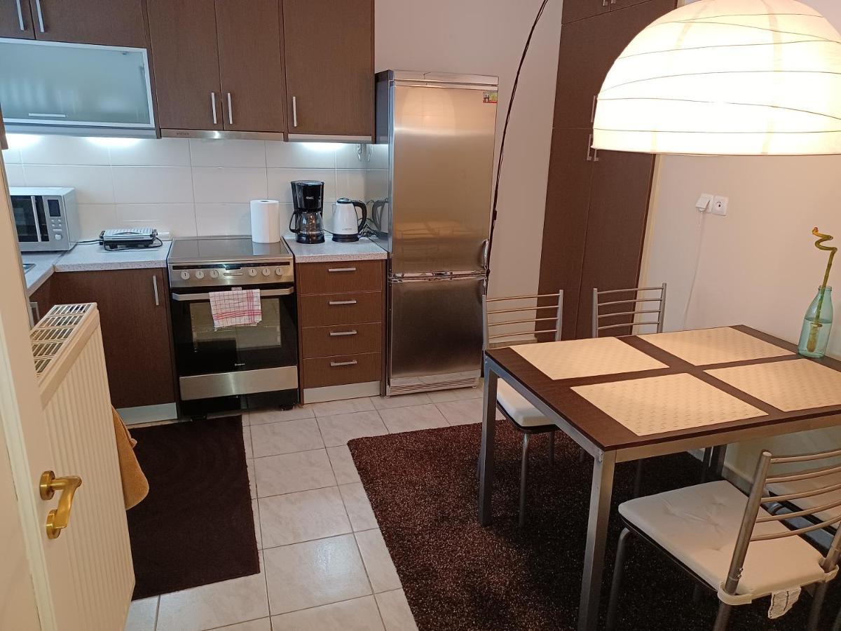 Central Apartment Ioannina Bagian luar foto